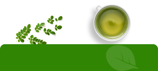 Moringa Image