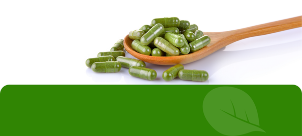 Moringa Image