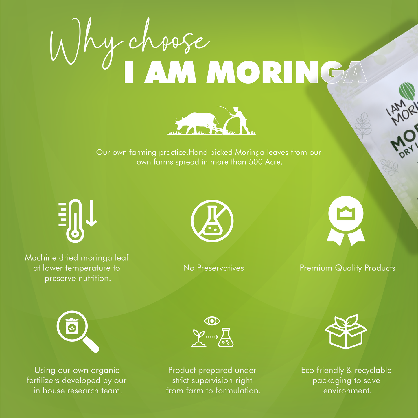 Moringa Leaf Powder 1 Kg