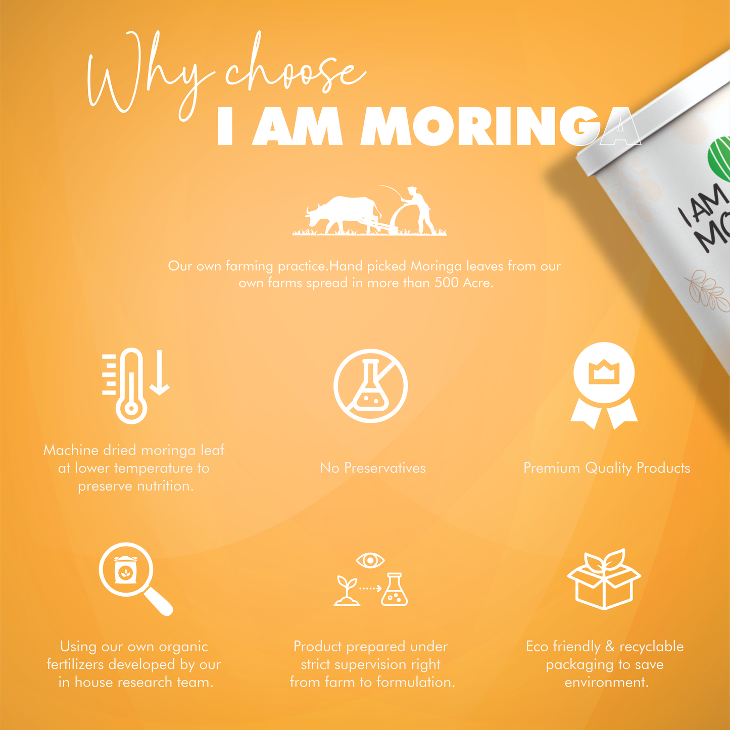 Mor-Jee 100 gm (Moringa + Jeera)