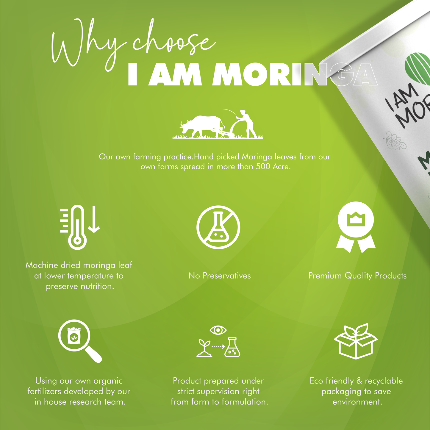 Moringa Leaf Powder 100 Gram