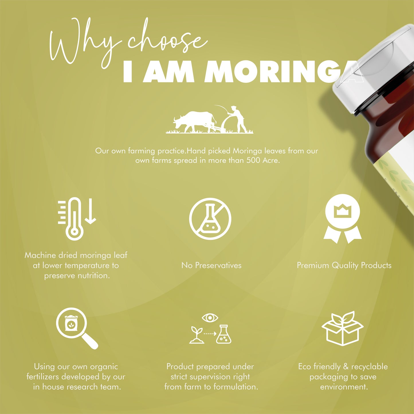 Moringa Leaf Powder 227 Gram + Unacoated + Moringa Effervescent Tablet