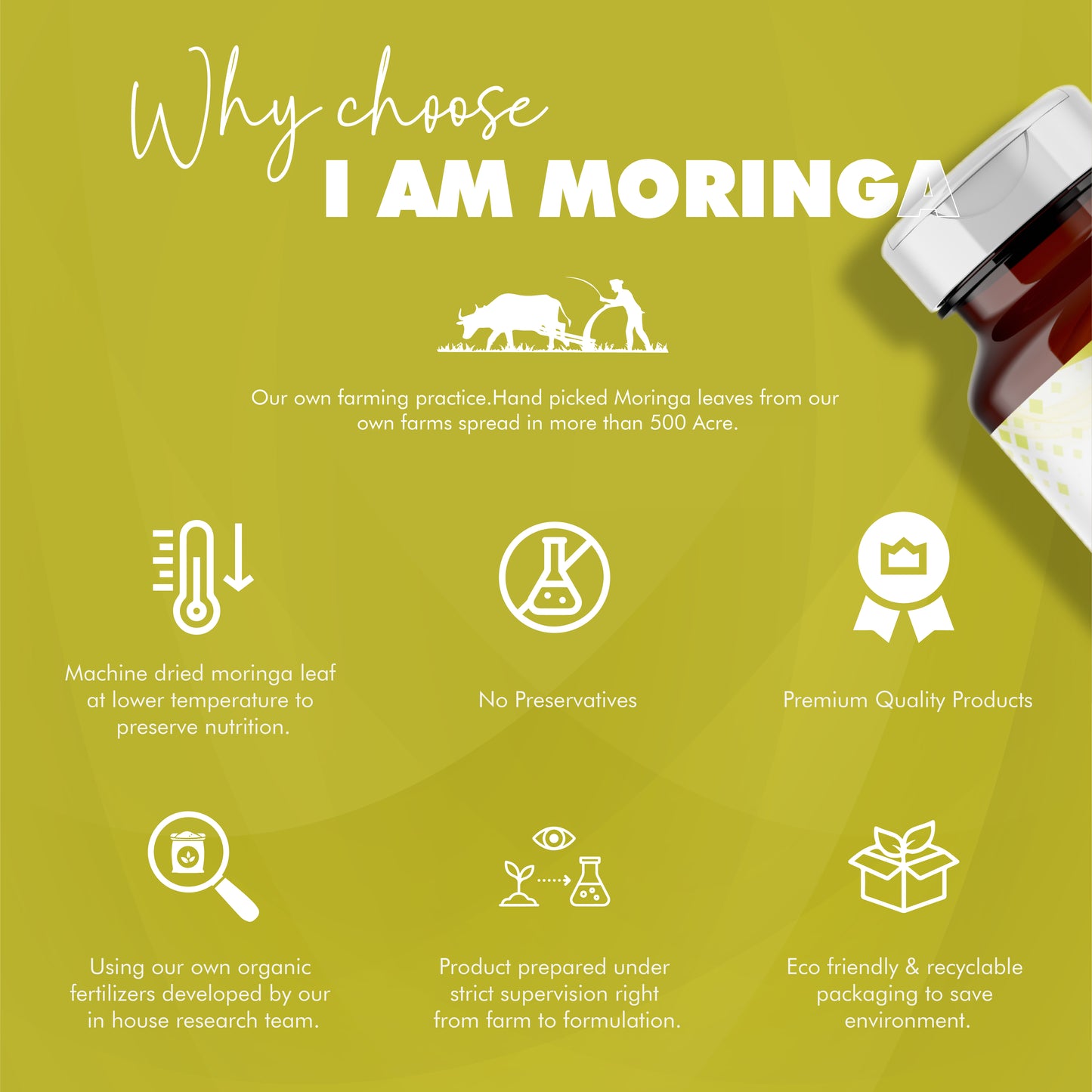 Moringa Tablet uncoated 120  + Moringa Effervescent Tablet + Mor Jee 100 Gram