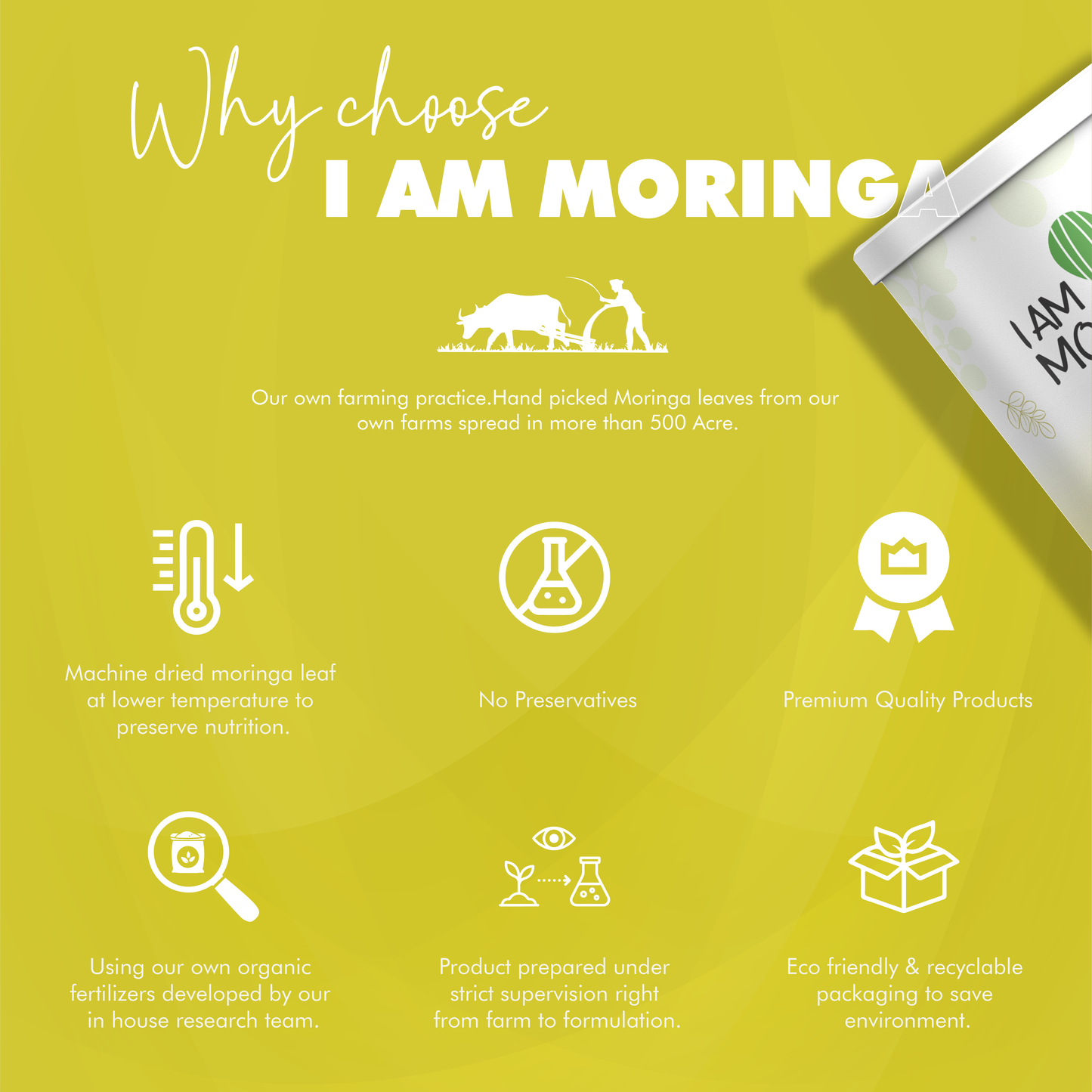 Moringa Soup 100 Gram